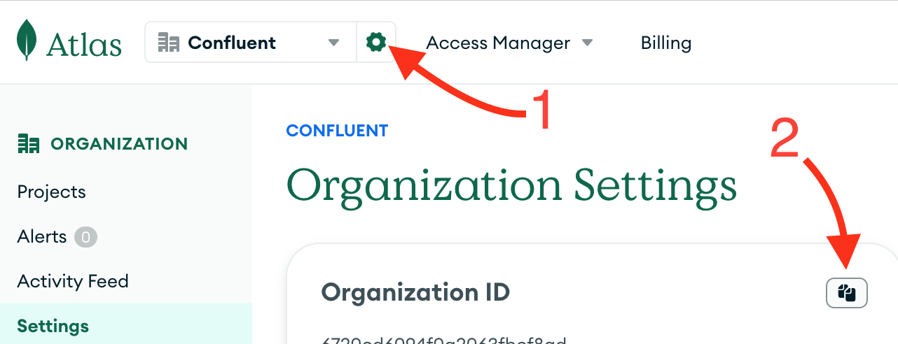 Atlas Organization ID