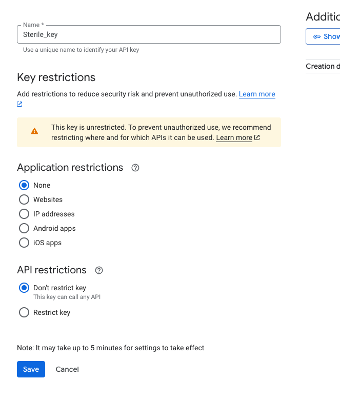 Unrestricted Gemini Key